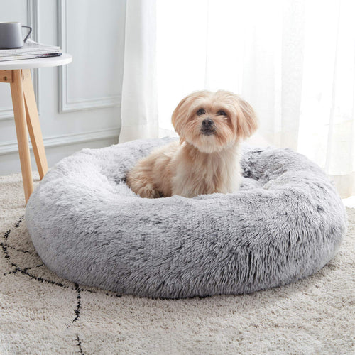 Wagoo Calming Anti-Anxiety Bed for Dogs & Cats