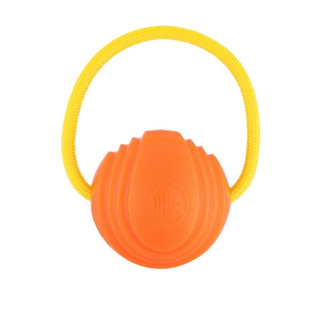 Wagoo Looped Interactive Ball for Dogs